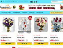 Tablet Screenshot of ciceksiparisistanbul.com